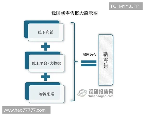 南京排球队的战术控制与发展趋势深度解析
